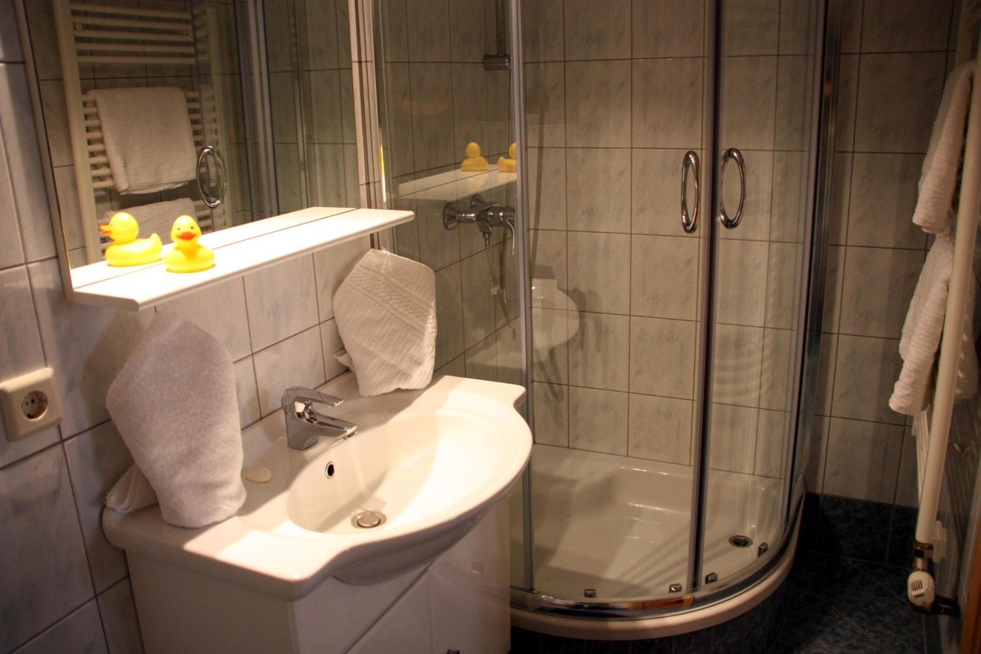 Apartements Richlegghof Filzmoos Dış mekan fotoğraf
